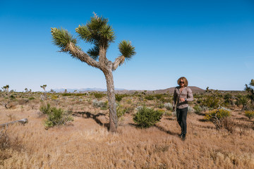 Joshua tree a curly haired blonde man is walking in the fierce heat and deep blue skies of the south western desert of North America, wearing dark sunglasses, a beige linen shirt