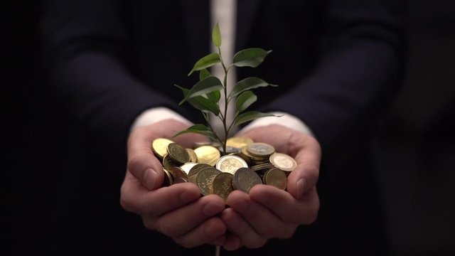 Management efficiency. Green leaf of sprout growing in the hands of an experienced seller or bank or insurance broker out of golden coins. Concept for investment and passive income for retirement 