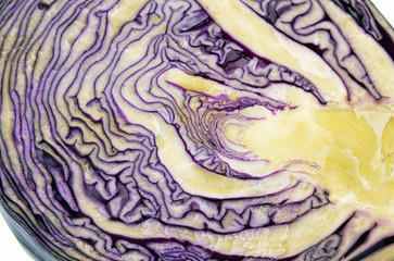 Obraz premium red cabbage on white background