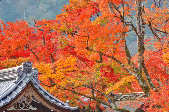 723 Best 天龍寺 Images Stock Photos Vectors Adobe Stock 723 Best 天龍寺 Images Stock Photos Vectors Adobe Stock