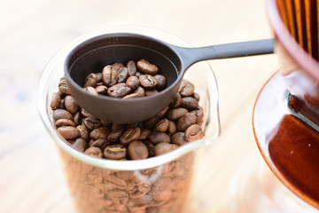 Spoon coffee beans ready for preparation