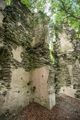 ancient ruin in the forest – nature conquers back