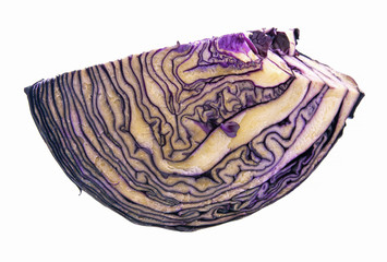 Fototapeta premium red cabbage on white background