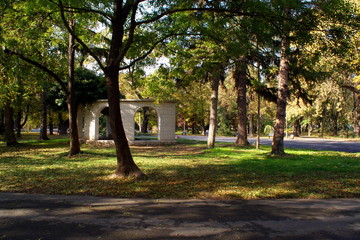 alley in the park