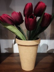 Collection of red decorative flowers in pots.