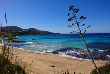 Beach in Ibiza