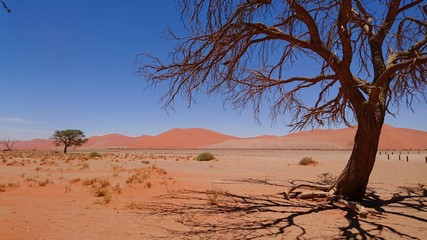 Dry and remote landscape