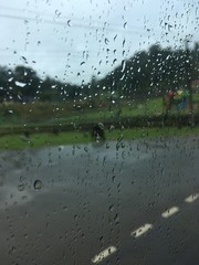 rain drops on window