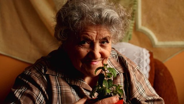 Smiling elderly woman with green plant on a dark background