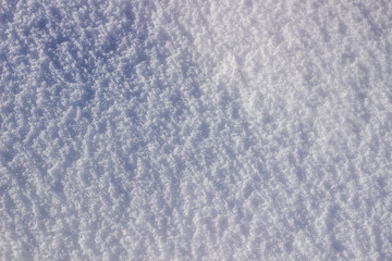 texture of white snow sparkling in the sun