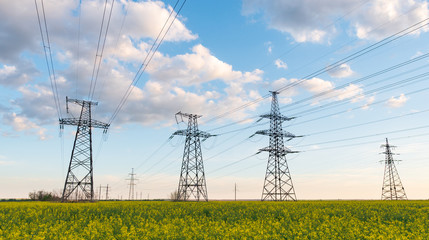 Power lines and high-voltage lines against the backdrop of blooming oilseed rape on a summer day.
