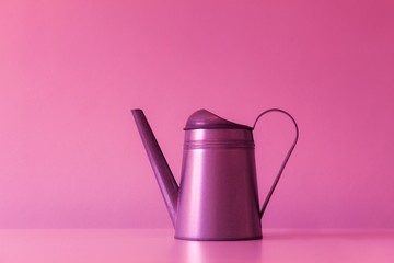 watering can with flowers isolated on white