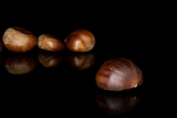 Group of four whole edible brown chestnut isolated on black glass