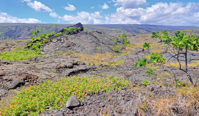 Kīlauea -  an active shield volcano in the Hawaiian Islands 