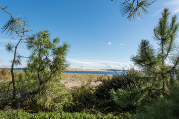 CAP FERRET (Bassin d'Arcachon, France), vue sur la dune du Pilat