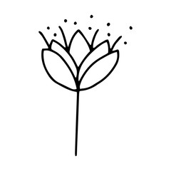 Flower hand drawing the line.Outline drawing black and white image.Doodle style.Floral and herbal.For bouquets, decorations.Vector