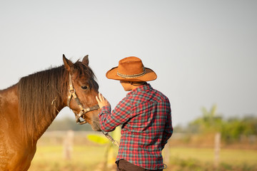 cowboy and brown horse on green field in sunny day