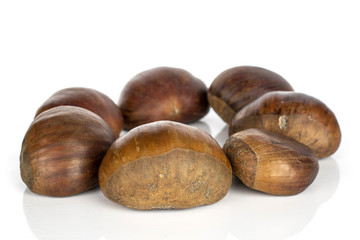Group of seven whole edible brown chestnut circle isolated on white background