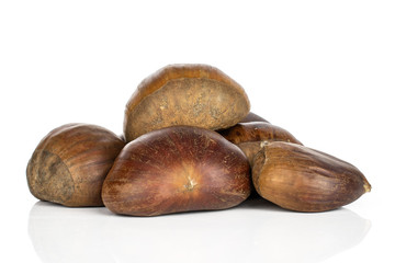 Group of five whole edible brown chestnut isolated on white background
