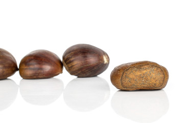 Group of four whole ripe edible brown chestnut isolated on white background