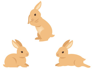 ティモテと伏せのポーズのウサギのイラストセット