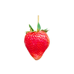 Fresh strawberry isolated on white background with clipping path.