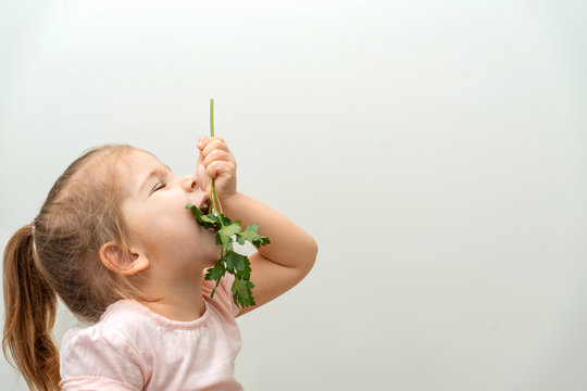 a three-year-old girl holds a sprig of parsley on her outstretched arm and bites off the greens. light smooth background. profile view. large copy space