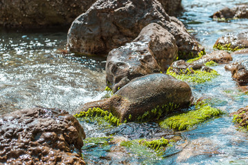 Pure clear water on a wild stone beach in the sea