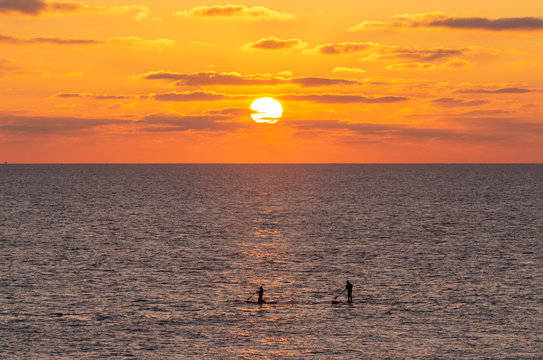 SUP boarders at sunset in Brighton