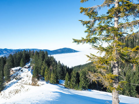 Winterwandern in den Bayerischen Alpen - Fischbachau