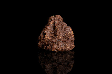 One whole homemade brown coconut cocoa biscuit isolated on black glass