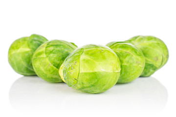 Group of five whole fresh green brussels sprout isolated on white background