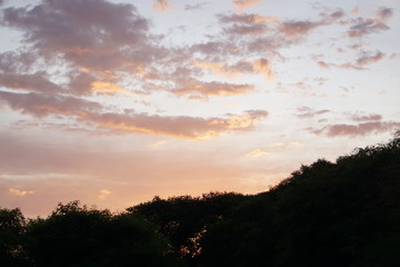 Nubes rosas en el cielo