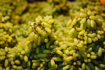 green and juice grapes on a fruit market in India  