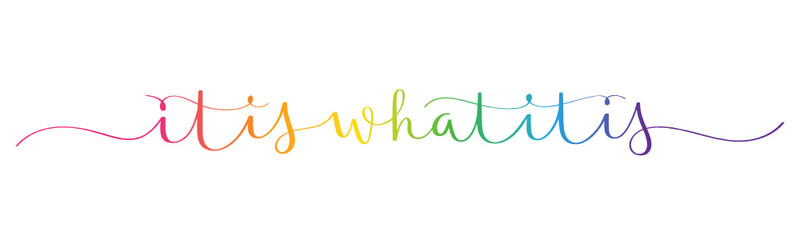 IT IS WHAT IT IS rainbow-colored vector brush calligraphy banner with swashes