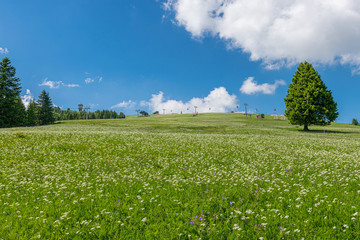 Schwarzwald ist ein sehr schönes Wander- und Erholungsgebiet