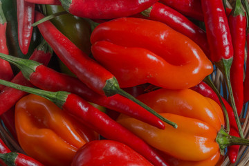 Chilli pepper, different types and colors, close-up photography