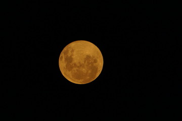 Luna llena en la ciudad