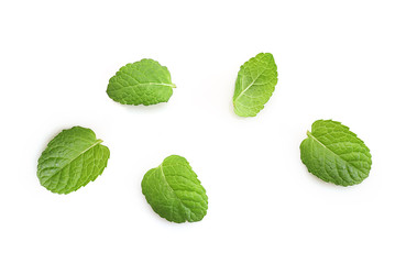 Fototapeta na wymiar Fresh green leves of mint isolated on white background