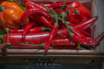Chilli pepper, different types and colors, close-up photography