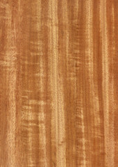 Closeup real natural wood grain of veneer background and texture, Pattern for decoration. Blank for design. Use for select material idea decorative furniture surface. Exotic veneer material.
