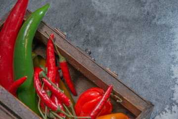 Chilli pepper, different types and colors, on gray background