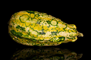 One whole beautiful decorative gourd isolated on black glass