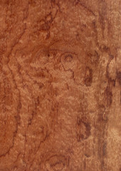 Closeup real natural wood grain of veneer background and texture, Pattern for decoration. Blank for design. Use for select material idea decorative furniture surface. Exotic veneer material.