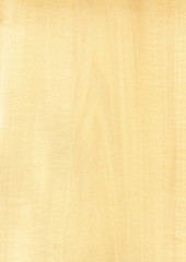 Closeup real natural wood grain of veneer background and texture, Pattern for decoration. Blank for design. Use for select material idea decorative furniture surface. Exotic veneer material.