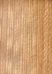 Closeup real natural wood grain of veneer background and texture, Pattern for decoration. Blank for design. Use for select material idea decorative furniture surface. Exotic veneer material.