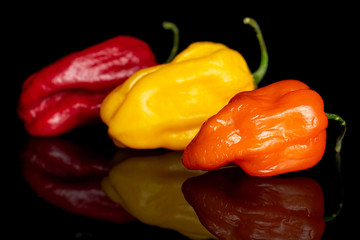 Group of three whole hot chili pepper placed diagonally isolated on black glass