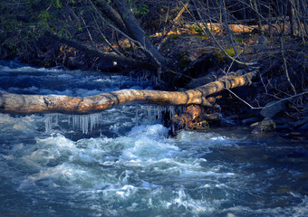 Forest scene of river with whitewater passing under a log with icicles on a cold winter morning.