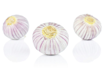 Group of three whole fresh purple single clove garlic isolated on white background