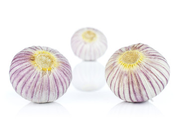 Group of three whole fresh purple single clove garlic isolated on white background